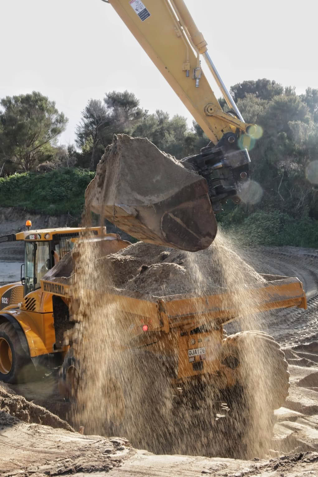 Harley - Sand in Bucket